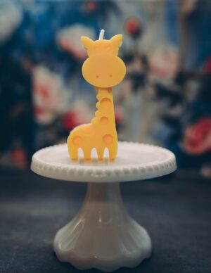 Baby Giraffa Sunshine