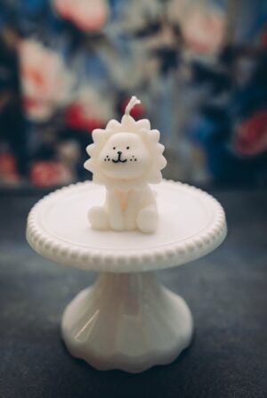 Baby Lion Sweet