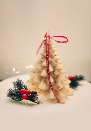 Albero d’Inverno